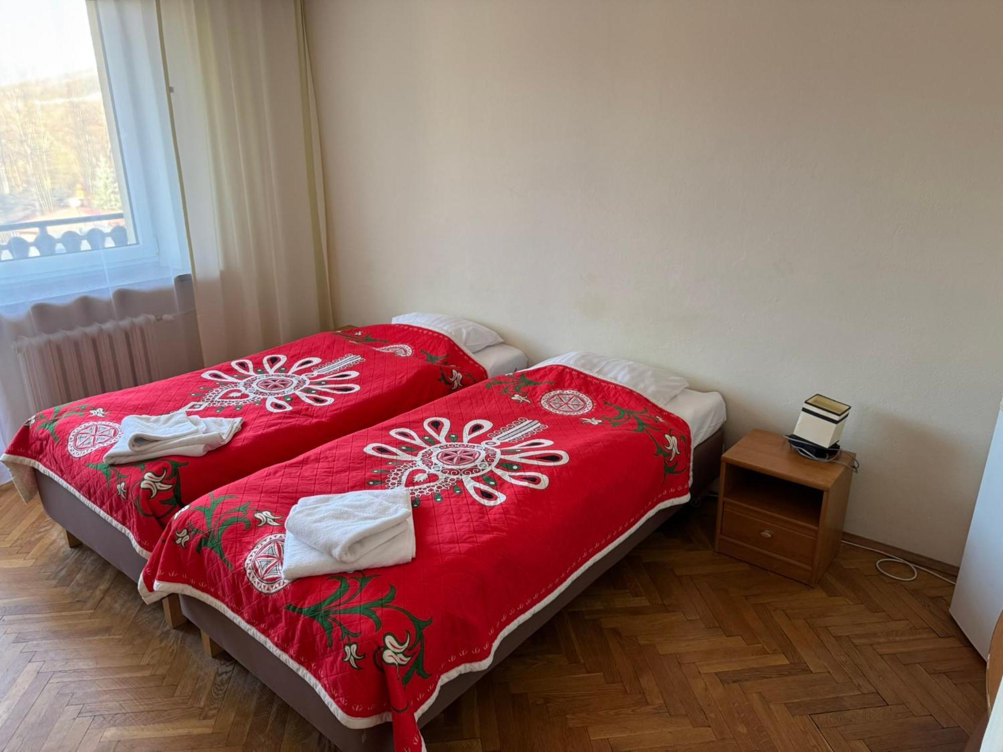 Dafne Zakopane Panzió Kültér fotó
