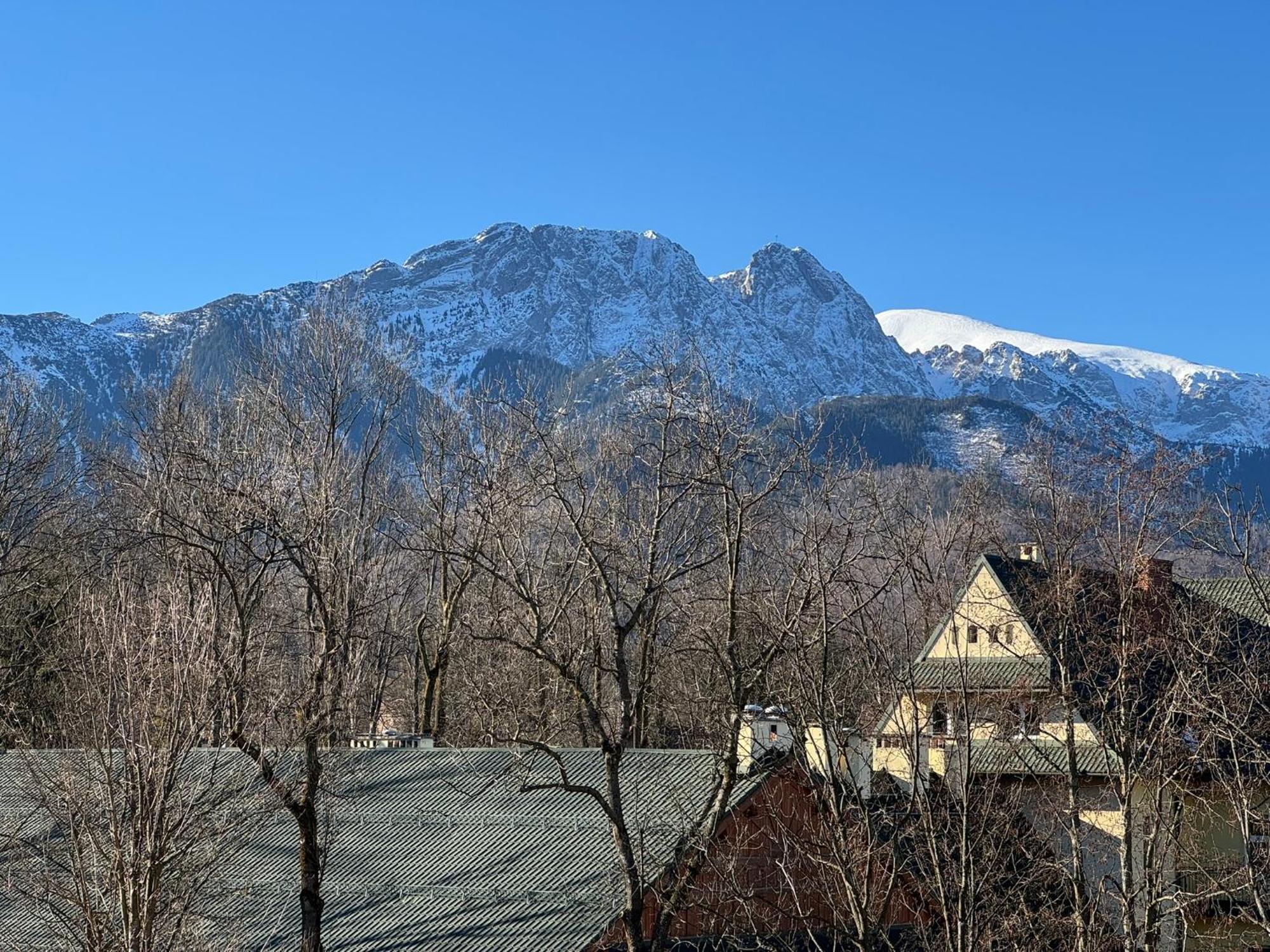 Dafne Zakopane Panzió Kültér fotó